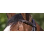 Uzda RW Muserolle Combinee - slika 3