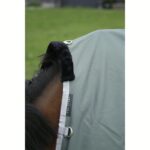 Pregrinjalo E-T Tyrex RCY GreenTurnout 600D/0g - slika 3