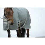 Pregrinjalo E-T Tyrex RCY GreenTurnout 600D/0g