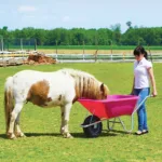 Samokolnica ROTO roza 80L - slika 2