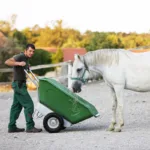 Samokolnica kiper ROTO zelena 350l