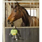 Igrača za konja Exellent Horse Foodie Friends Apple - slika 4