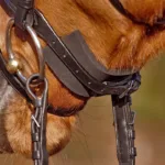 Kavalkade neoprenska zaštita za nosnik KavalPren