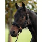 Ular HKM Berry - slika 2