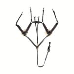 Oprsnik + martingal HKM Lamb