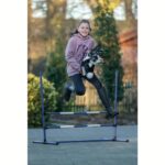Hobby Horsing skakalni set - slika 3