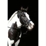 Uzda HKM Lou - slika 2