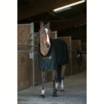 Pregrinjalo E-T Cooler Teddy - slika 4