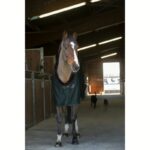 Pregrinjalo E-T Cooler Teddy