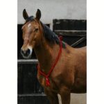 Jahalni obroč Norton Ethological Soft - slika 3