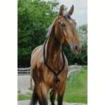 Jahaći obruč Norton Ethological Soft