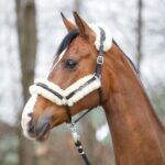 Oglavka Kavalkade Marvellous