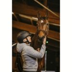 Kaciga E-T Agris Glitter - slika 3