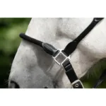 Oglavka HKM Carlotta - slika 5