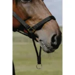 Oglavka Norton Educatif - slika 2