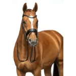 Uzda HKM Ira - slika 4