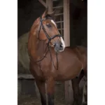 Vajeti Norton Rubber16