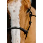 Užad za glavu Norton Diams