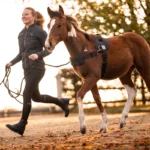 Oprsnica Kavalkade Foalmaster - slika 2