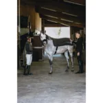 Grelno pregrinjalo za hrbet E-T - slika 4