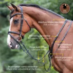 Martingal Kavalkade Azriel - slika 5