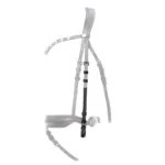 Ličnik Kavalkade Cre8 - slika 2