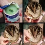 Vosek za kopita Keratex - slika 2