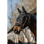 Maska protiv muha E-T Anatomic UV