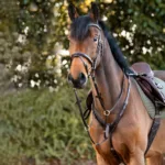 Predprsnica Kavalkade Robin - slika 3