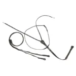 Nemški martingal Kavalkade